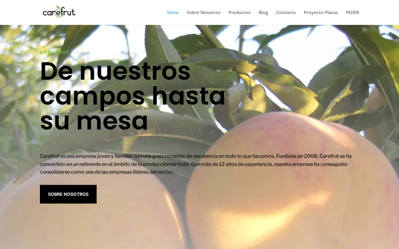 Portada de la web de Carefrut
